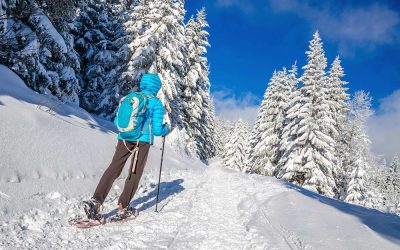 Schneeschuh Wandern &  beliebte Winterwanderwege