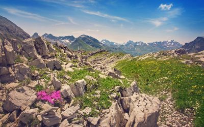 Sommer am Arlberg  Sport Matt SAISONSTART 16.06.18